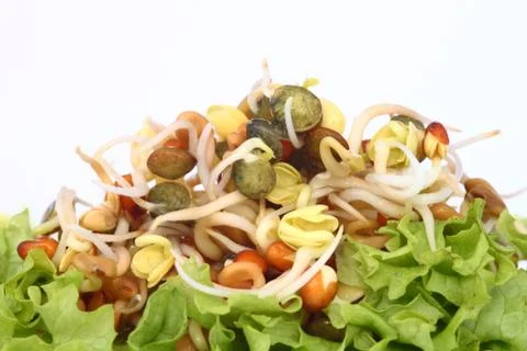 Salad Stock Photos