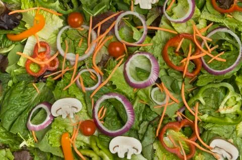 Salad Fotos de archivo