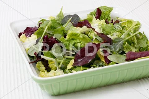 Salad Stock Photos