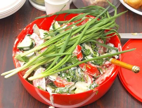 Salad. Stock Photos