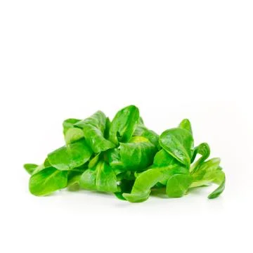 Salad Stock Photos