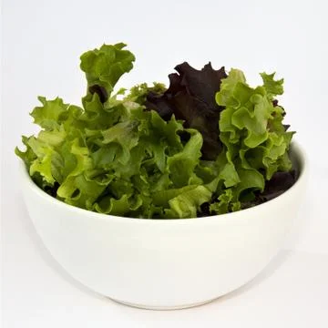 Salad Foto stock