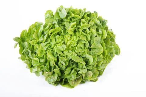 Salad Stock Photos