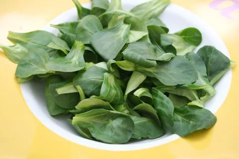 Salad Stock Photos