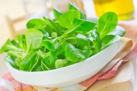 Salad Stock Photos