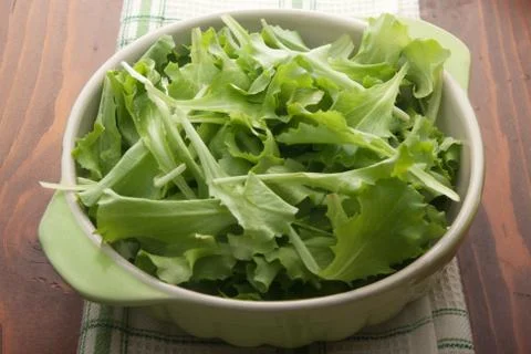 Salad 写真素材