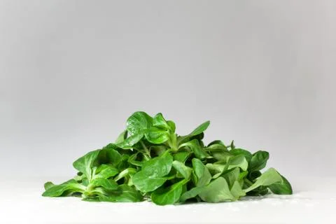 Salad Stock Photos