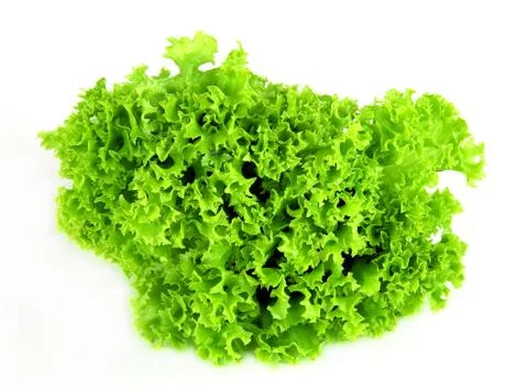 Salad Stock Photos