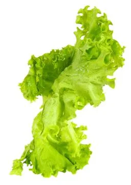 Salad Stock Photos