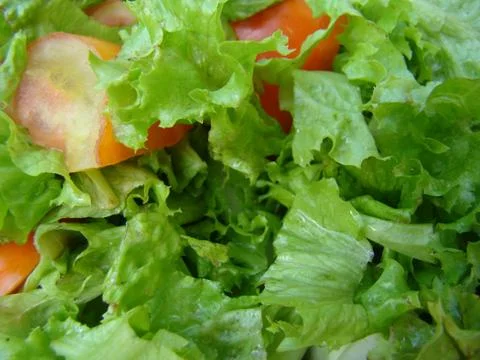 Salad Stock Photos