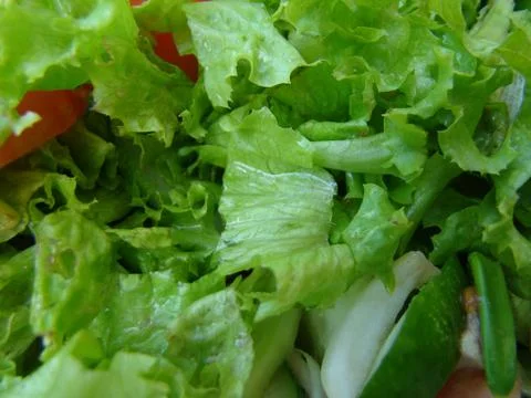 Salad Stock Photos