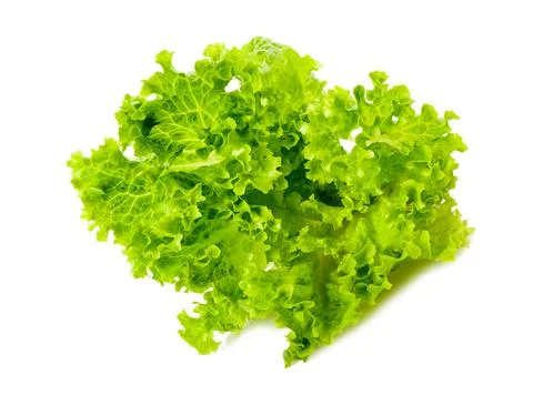 Salad Stock Photos
