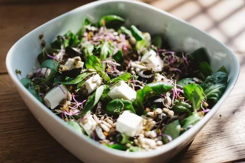 Salad in a plate Stock Photos
