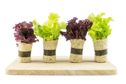 Salad roll white background Stock Photos
