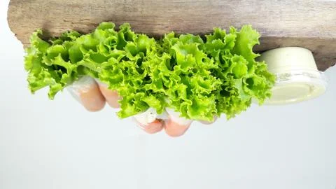 Salad rolls, Stock Photos