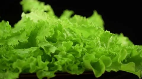 Salad rotate on a plate. Stock Footage 137575071