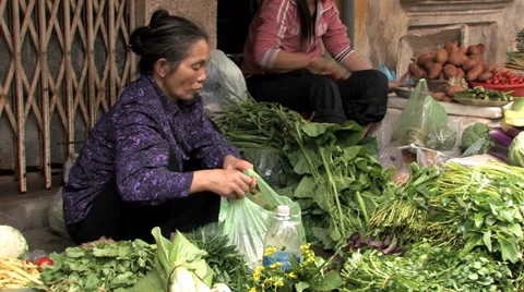 Salad Sales Stock Footage 33799521