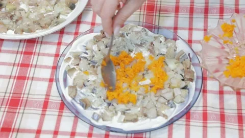 Salad Shuba with herring, beetroot and boiled vegetables 動画素材 168571704
