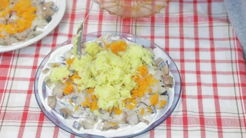 Salad Shuba with herring, beetroot and boiled vegetables 動画素材 168571895