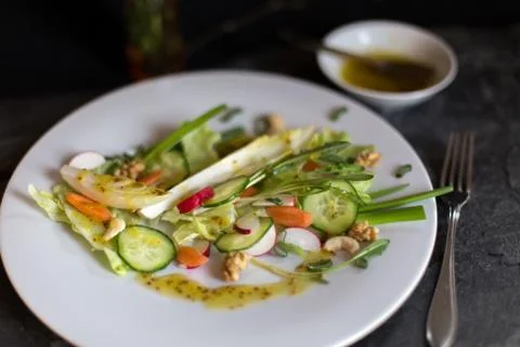 Salad of spring vegetables Stock Photos