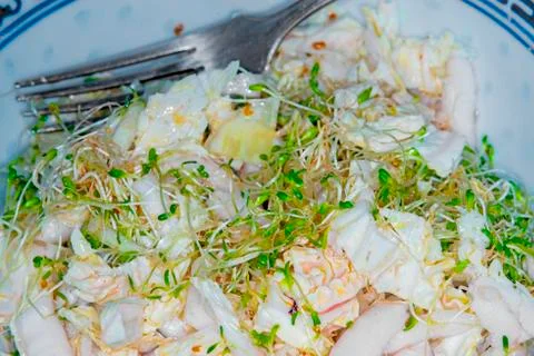 Salad with sprouts Stock Photos