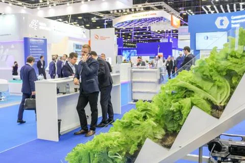 Salad on the stand. Foto stock