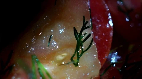Salad of tomato and dill Stock Footage 91785146