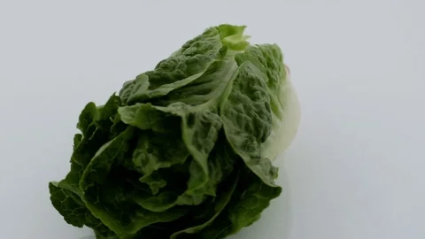 Salad on Turntable - White Background Stock Footage 75861857