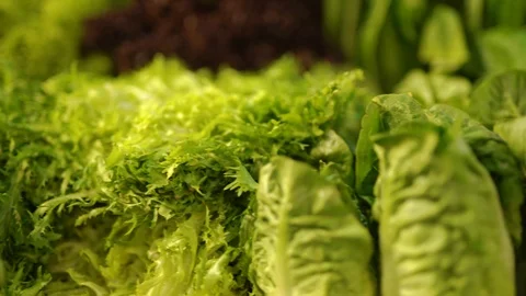 Salad variations Stock Footage 85715453