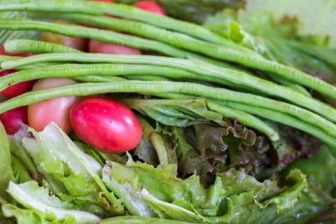 Salad vegetable in the kitchen. Foto stock
