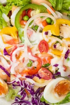 Salad vegetables Stock Photos
