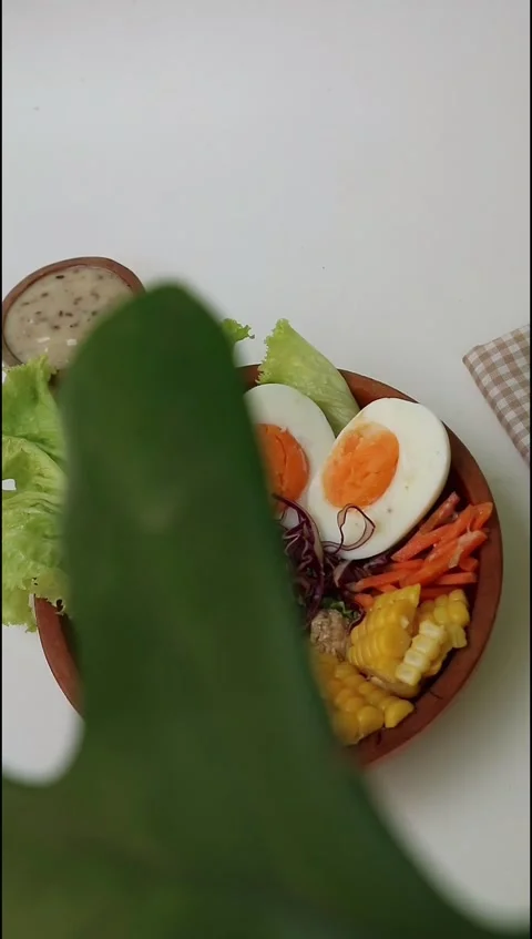 Salad1 Stock Footage 289275696