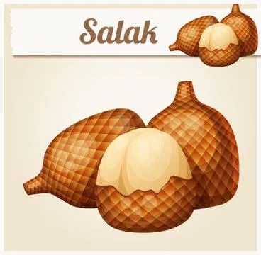 Salak fruit. Cartoon vector Icon Illustrazione stock