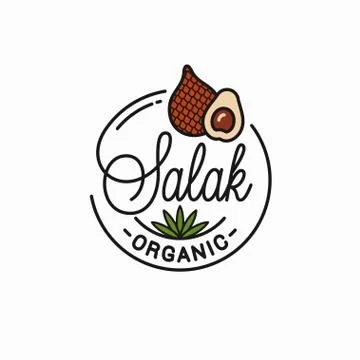 Salak fruit logo. Round linear of snake slice Stock Illustration