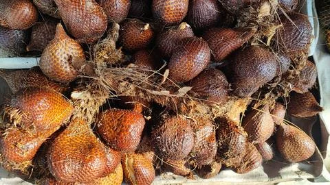 Salak fruit 스톡 사진