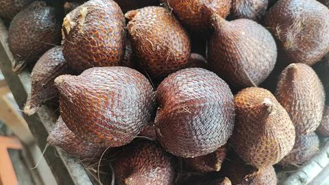 Salak fruit Foto stock