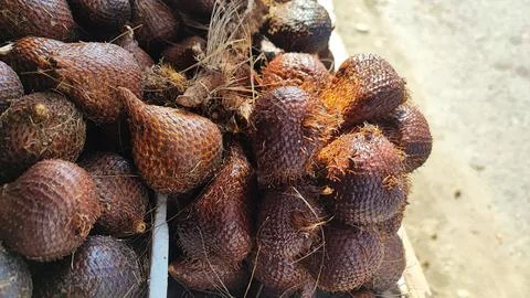 Salak fruit Foto stock