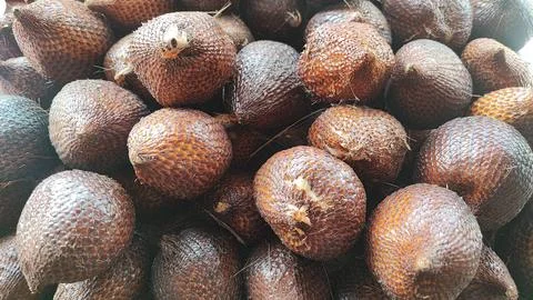 Salak fruit Foto stock