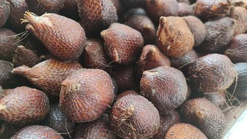 Salak fruit Stock-Fotos
