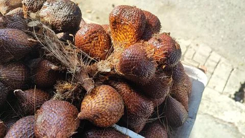 Salak fruit Foto stock