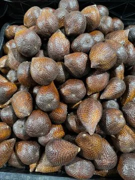 Salak Fruit 库存照片