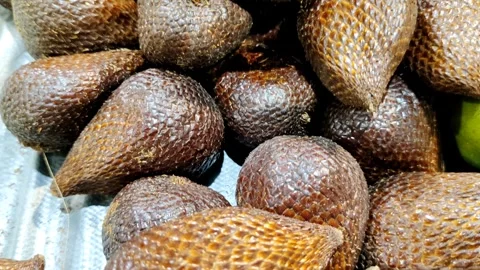Salak Fruit Showcasing Its Unique Textured Skin and Detail Vídeos de archivo 305526648