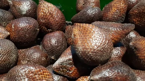 Salak Fruits Stock Footage 291845273