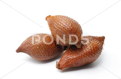 Salak palm, salacca wallichiana Stock Photos