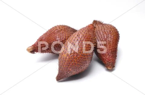 Salak palm, salacca wallichiana Stock Photos