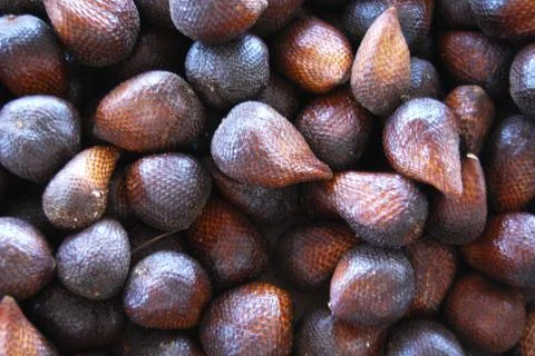 Salak Stock Photos