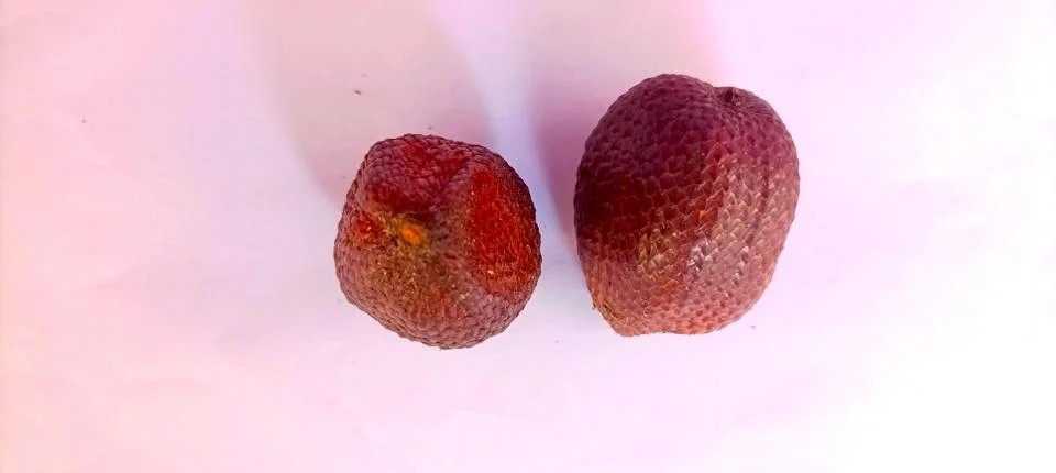 Salak 写真素材