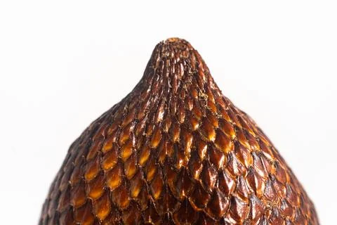SALAK (SNAKE FRUIT) MACRO Stock Photos