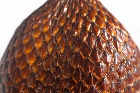 SALAK (SNAKE FRUIT) MACRO Stock Photos