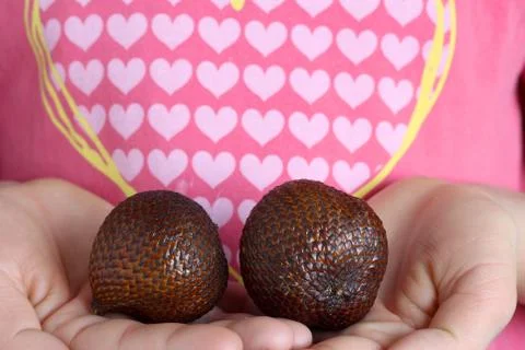 Salak, snake fruits in hands. Tropical travel, exotic fruit. Stock Photos